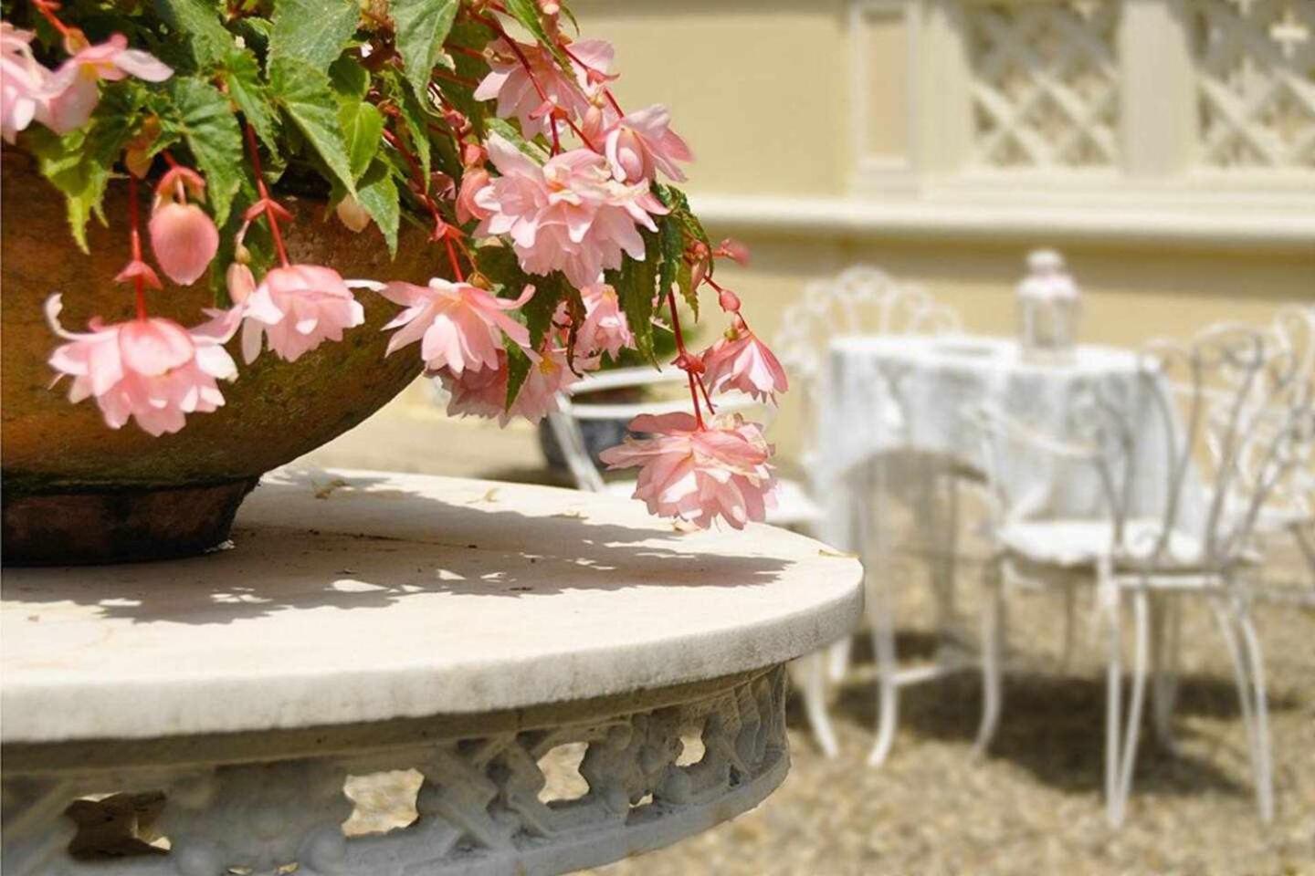 Villa La Moresca Relais De Charme B&B Montecatini Alto (Adults Only) Room photo